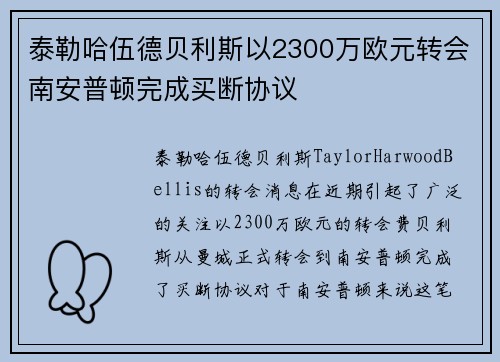 泰勒哈伍德贝利斯以2300万欧元转会南安普顿完成买断协议
